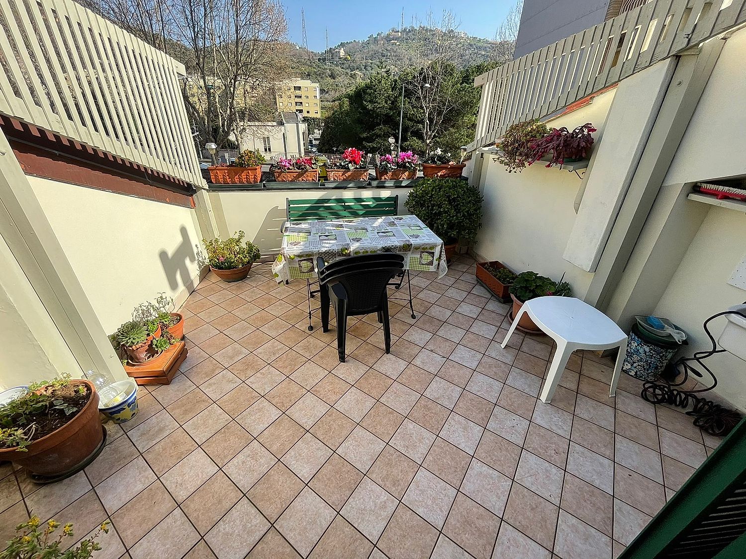 fototerrazzof14 7681